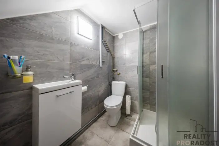 Prodej vícegeneračního domu, Hodonín, Komenského, 242 m2