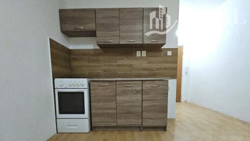 Pronájem bytu 1+1, Chomutov, Růžová, 36 m2