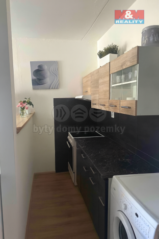 Pronájem bytu 1+kk, Plzeň, Krašovská, 30 m2