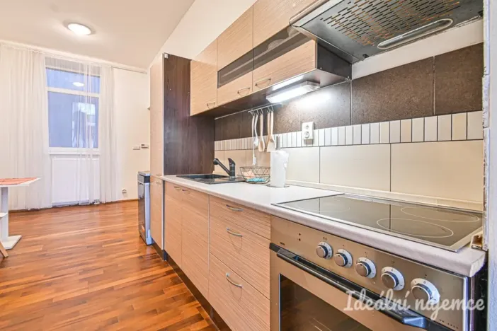 Pronájem bytu 1+1, Brno, Francouzská, 48 m2