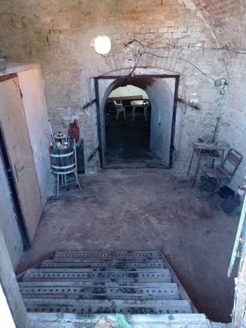 Prodej vinného sklepa, Novosedly, 42 m2