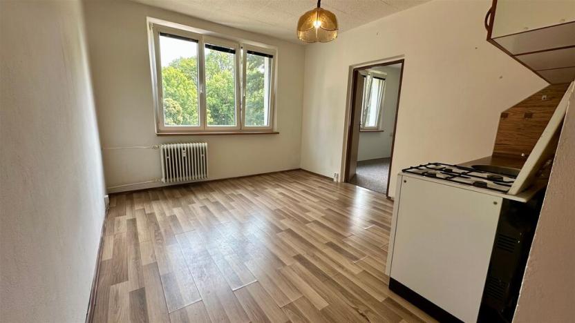 Pronájem bytu 1+1, Cheb, Přátelství, 37 m2