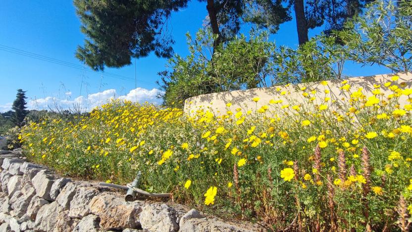 Prodej rodinného domu, Porto Hydra, Ermioni, Peloponés, Řecko, 127 m2