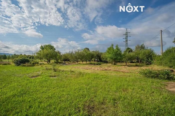 Prodej zemědělského objektu, Šumperk, Vikýřovická, 250 m2