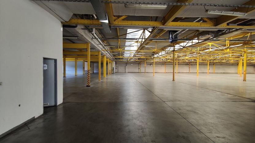 Pronájem výrobních prostor, Strakonice - Strakonice II, Tovární, 4035 m2