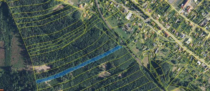 Prodej lesa, Bílá Třemešná, 7940 m2
