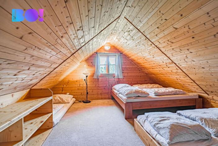 Prodej chalupy, Dolní Morava - Velká Morava, 315 m2