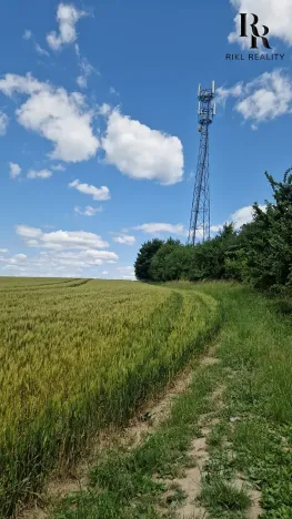 Prodej pole, Bílá Lhota, 1851 m2