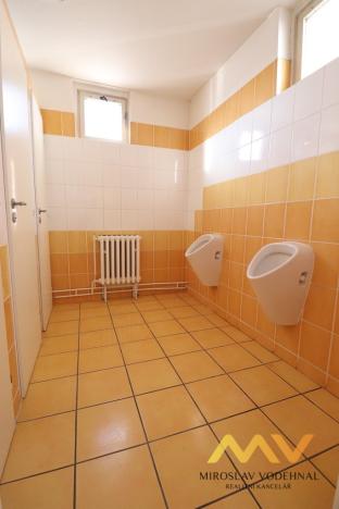 Pronájem kanceláře, Hradec Králové - Slezské Předměstí, Bieblova, 35 m2