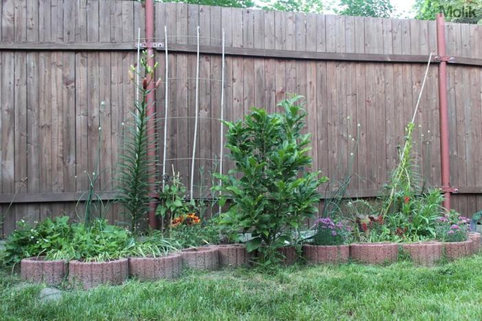 Prodej chaty, Chabařovice, Náměstí 9. května, 11 m2