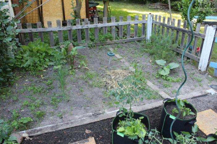 Prodej chaty, Chabařovice, Náměstí 9. května, 11 m2