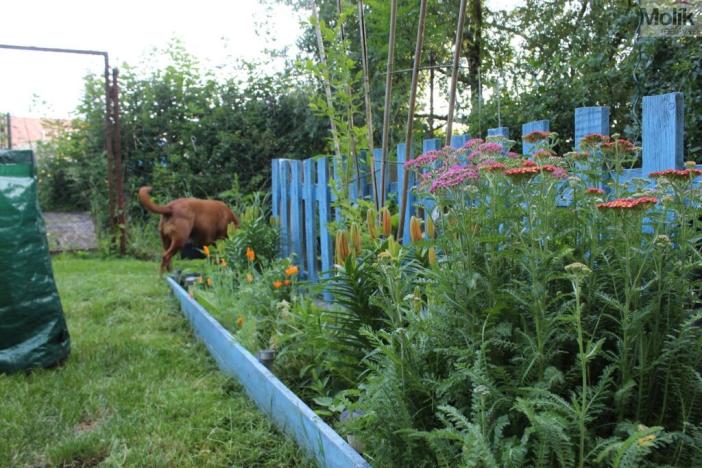 Prodej chaty, Chabařovice, Náměstí 9. května, 11 m2