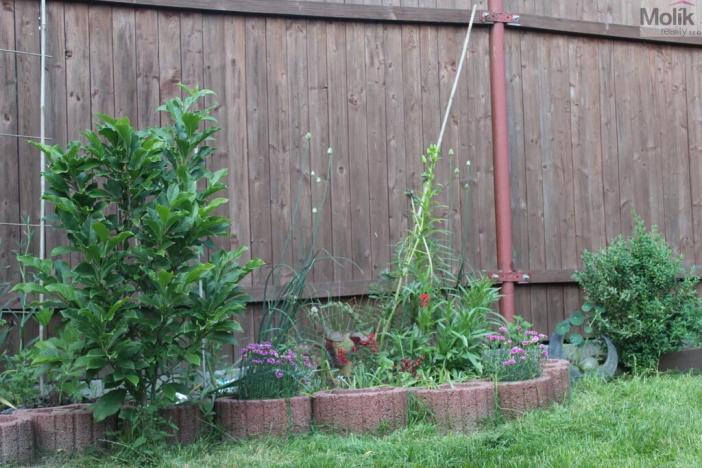 Prodej chaty, Chabařovice, Náměstí 9. května, 11 m2