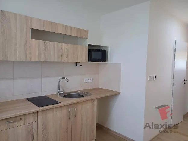 Pronájem bytu 1+kk, Čelákovice - Záluží, Vořechovka, 24 m2