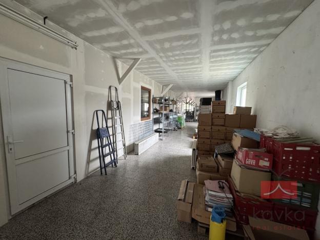 Prodej komerční nemovitosti, Zruč nad Sázavou - Nesměřice, 1095 m2