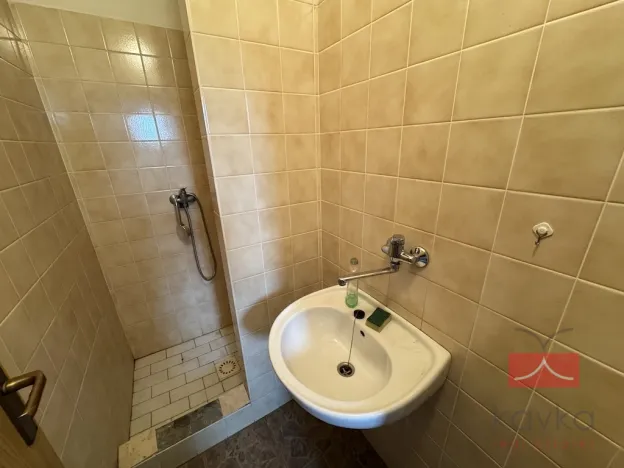 Prodej komerční nemovitosti, Zruč nad Sázavou - Nesměřice, 1095 m2