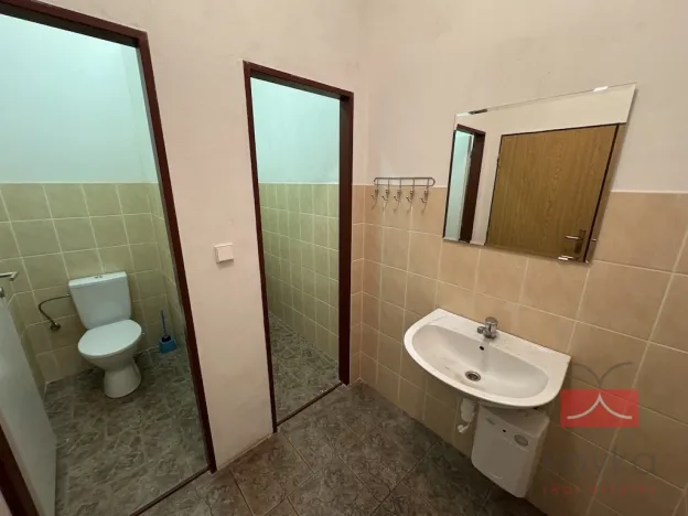 Prodej komerční nemovitosti, Zruč nad Sázavou - Nesměřice, 1095 m2