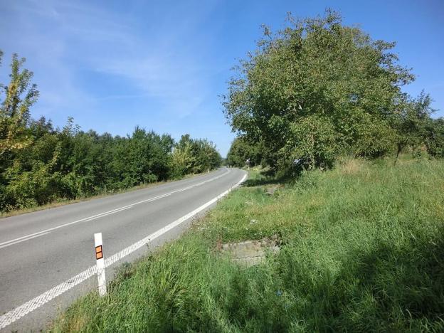 Prodej sadu/vinice, Staré Město, 6975 m2