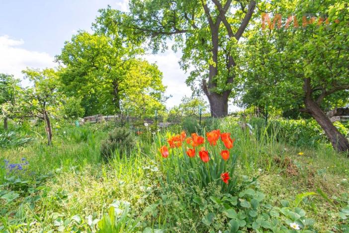 Prodej zahrady, Jirkov, 448 m2