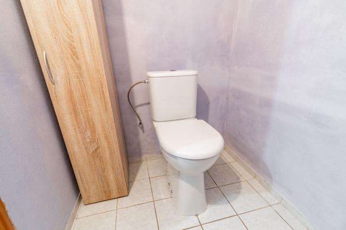 Prodej rodinného domu, Bor - Holostřevy, 270 m2