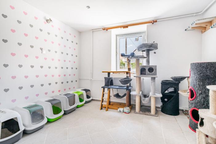 Prodej rodinného domu, Bor - Holostřevy, 270 m2