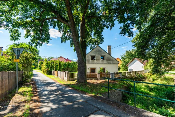 Prodej rodinného domu, Bor - Holostřevy, 270 m2