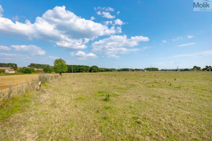 Prodej pozemku pro bydlení, Velký Bor, 921 m2