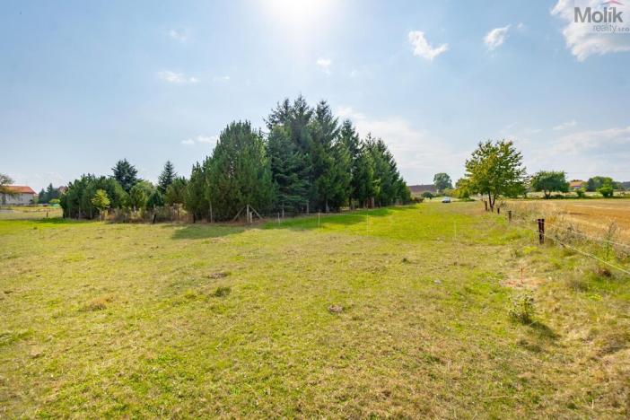 Prodej pozemku pro bydlení, Velký Bor, 921 m2