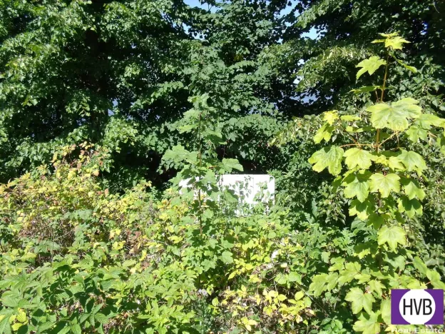 Prodej chaty, Černá v Pošumaví, 16 m2