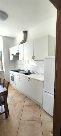 Pronájem bytu 1+1, Hajany, 40 m2
