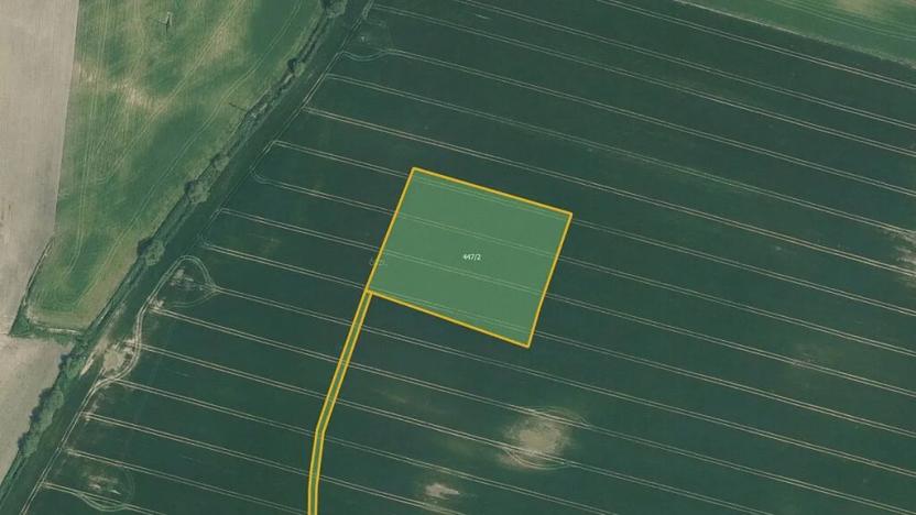 Prodej louky, Borkovice, 19761 m2