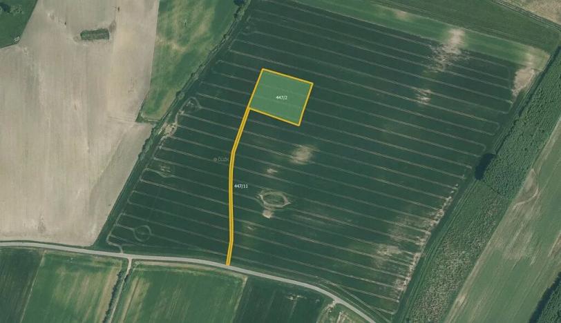 Prodej louky, Borkovice, 19761 m2