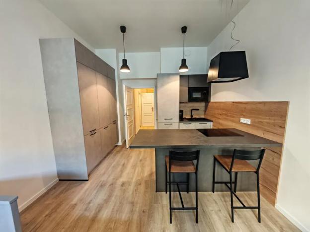 Pronájem bytu 1+kk, Praha - Žižkov, Chlumova, 38 m2