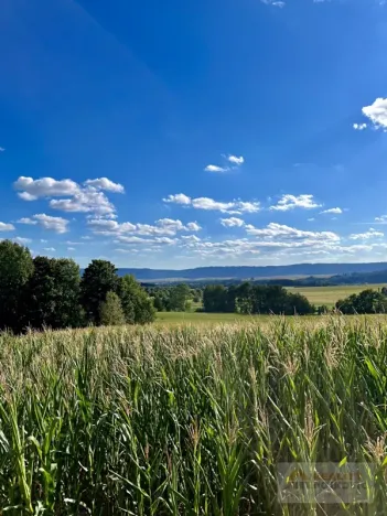 Prodej pozemku pro bydlení, Broumov, 3146 m2