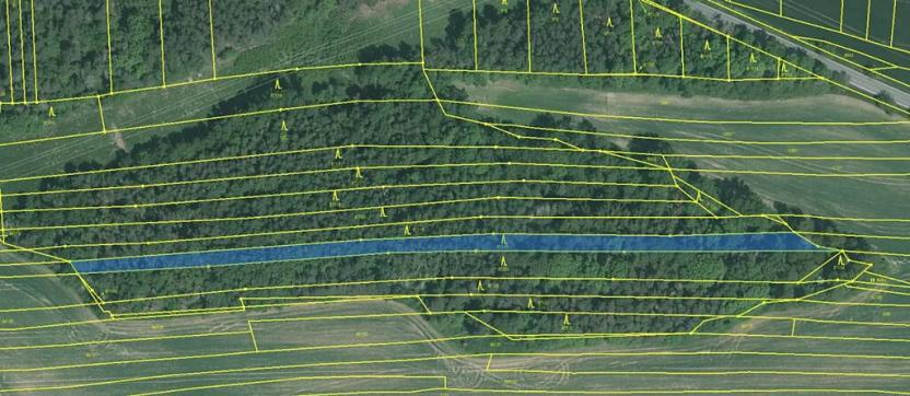 Prodej lesa, Hradiště, 3845 m2