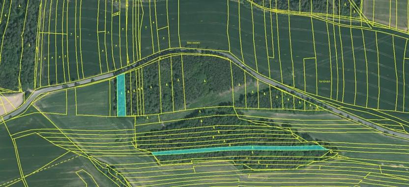 Prodej lesa, Hradiště, 3845 m2