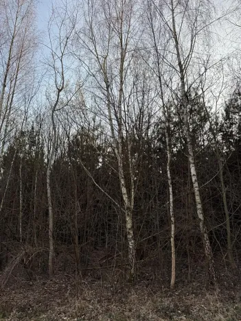 Prodej pozemku, Stéblová, 8147 m2