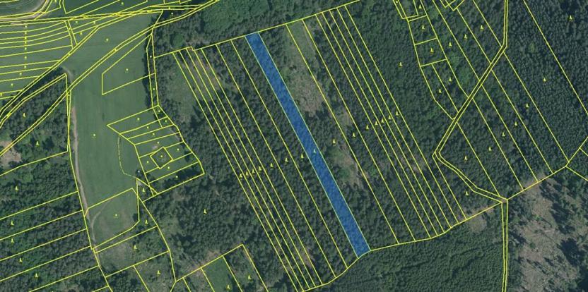 Prodej lesa, Hradiště, 5650 m2