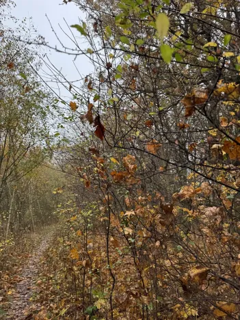 Prodej pozemku, Praha, 9174 m2