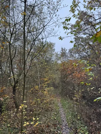 Prodej pozemku, Praha, 9174 m2