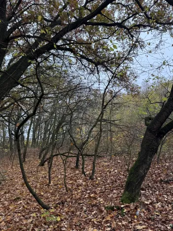 Prodej pozemku, Praha, 9174 m2