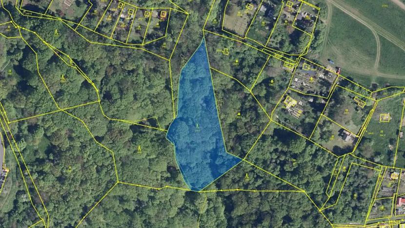 Prodej podílu lesa, Ústí nad Labem, 1184 m2