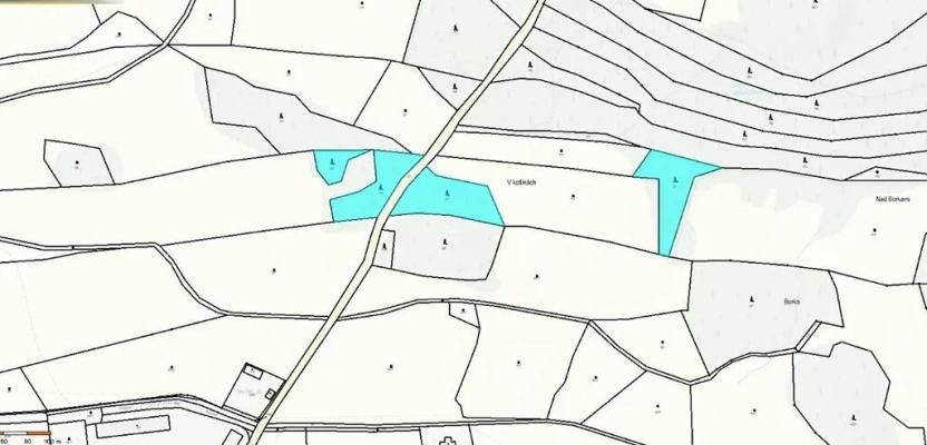 Prodej lesa, Proseč, 7493 m2