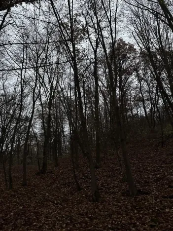 Prodej podílu lesa, Praha, 4596 m2