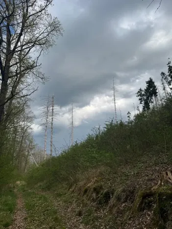 Prodej pozemku, Boršov nad Vltavou, 7673 m2