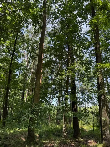 Prodej pozemku, Třeboň, 9529 m2