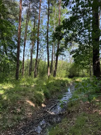Prodej pozemku, Třeboň, 9529 m2