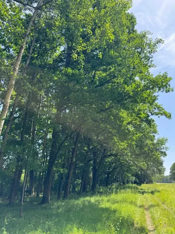 Prodej pozemku, Třeboň, 9529 m2