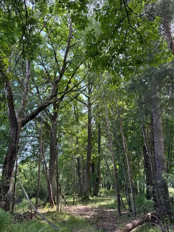 Prodej pozemku, Třeboň, 9529 m2