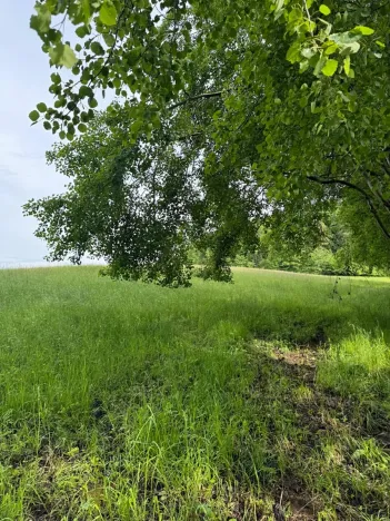 Prodej pozemku, Český Dub, 25179 m2